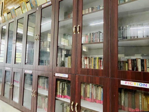 Library shelfs-copy